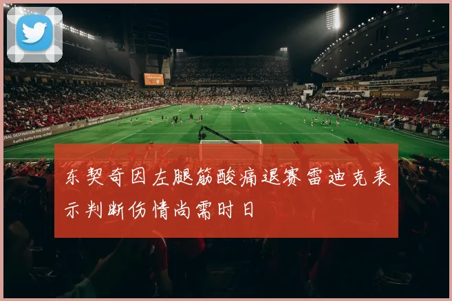 东契奇因左腿筋酸痛退赛雷迪克表示判断伤情尚需时日
